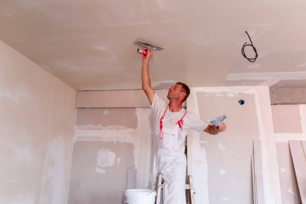 Best Ceiling Drywall Installation  in Itasca, TX